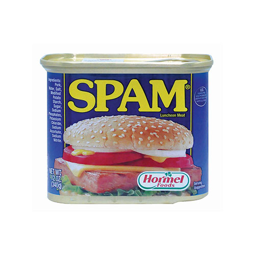 THỊT BÒ HỘP ĂN TRƯA VỚI HAMBERGER SPAM LUNCHEON MEAT CANNED HAMBURGER HAM 340g